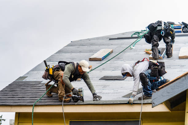 Professional Storm Damage Roof Repair technician working in Spottsville, KY