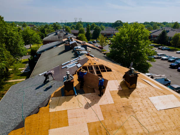 Trusted Roof Installation service in Spottsville, KY - Brentwood Metal Roofing